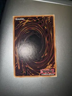 Yu-Gi-Oh! TCG Shaddoll Hedgehog Battles of Legend: Hero's Revenge BLHR-EN081 1st - Image 2