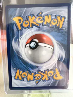 Pokemon TCG Squirtle Stellar Crown Illustration Rare. Pack Fresh - Image 3