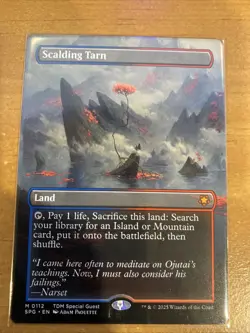 Scalding Tarn (Borderless) Special Guests Regular MTG Near Mint - Image 1