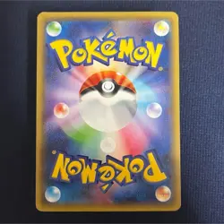 Pokemon Card Poncho Wearing Pikachu 203/XY-P Promo Japanese from Japan - Image 2