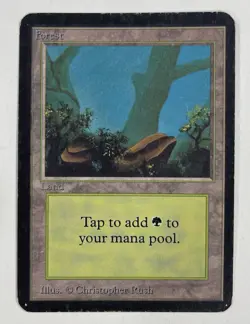 Forest (A) Alpha MP Moderate Play MTG Magic The Gathering 1.7 - Image 1