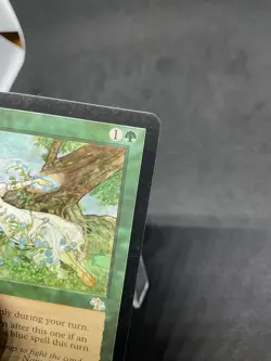 Seedtime Judgment Regular MTG #130 MP - Image 2