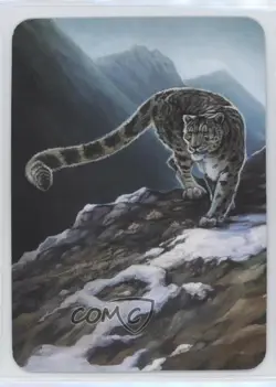 2023 Sorcery: Contested Realm - Beta Foil Snow Leopard - Image 2