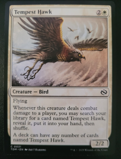 Tempest Hawk Tarkir: Dragonstorm Regular - Image 1