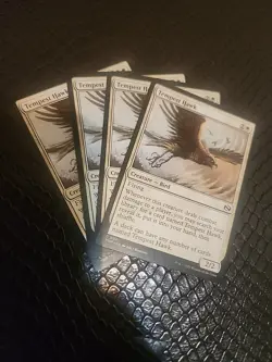 x4 Tempest Hawk TDM Tarkir Dragonstorm MTG NM 4x - Image 1