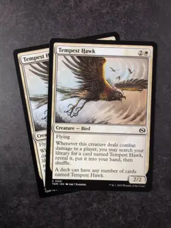 Tempest Hawk Tarkir: Dragonstorm MTG Regular X2 - Image 1