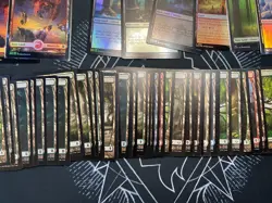 MTG, Magic the Gathering full art land lot. Some foil, Zendikar, Amonket, NM-LP - Image 5