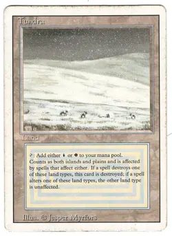 1x Tundra - Revised - MTG Single - Image 1