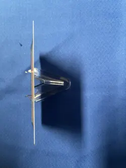 Enduring Courage (Showcase) Duskmourn: House of Horror Foil - Image 5