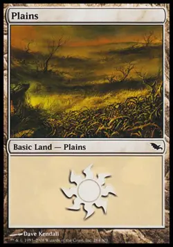 MTG Plains (284) - Foil, NM-Mint, English Shadowmoor - Image 1