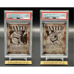 PSA 10 Pokemon ONE PIECE Card Japanese special card set 2 - Image 1