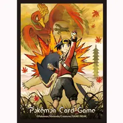 Ethan & Typhlosion Sleeves 64 Sleeves Pokemon Center Japan - US SELLER - Image 2