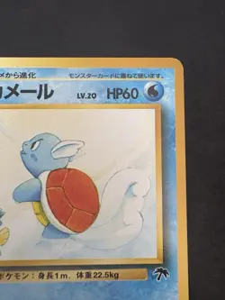 Pokemon Vintage Japanese Southern Islands Wartortle Rare Promo - Image 4
