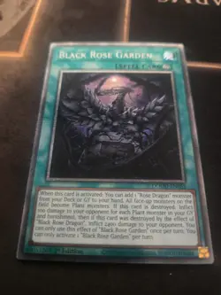 YuGiOh Black Rose Garden Starlight Rare 1st Edition NM (DOOD) - Image 1