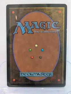 Soraya the Falconer Homelands MTG Magic the Gathering LP - Image 2