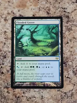 MTG / Flooded Grove / EVE / #177 / Regular / Rare - Image 1