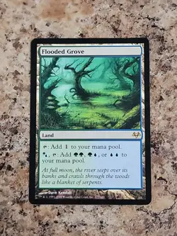 MTG / Flooded Grove / EVE / #177 / Regular / Rare - Image 2