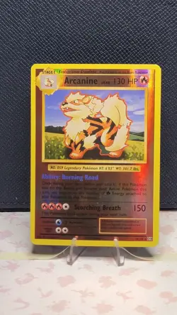 Arcanine Reverse Foil Pokemon XY Evolutions 20th Anniversary #18 - Image 1