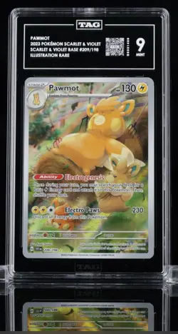 Pawmot 209/198 IR Illustration Rare Pokemon 2023 Scarlet & Violet Base Set TAG 9 - Image 1