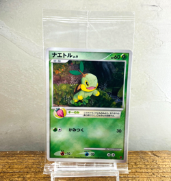 Sealed Turtwig 001/PPP Chimchar Piplup Fan Club 2000 Japanese Pokemon card - Image 1