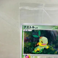 Sealed Turtwig 001/PPP Chimchar Piplup Fan Club 2000 Japanese Pokemon card - Image 2