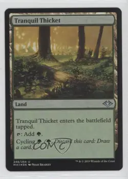 Tranquil Thicket Foil Magic: Modern Horizons MH1 #248 - Image 1