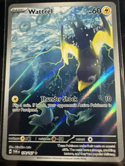 Wattrel IR 178/167 Twilight Masquerade Holo Full Art Pokemon Illustration NM - Image 1