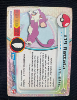 1999 Pokemon TV Animation Series 1 #19 Rattata - Blue Logo (HP) - Image 2