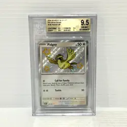 Pidgy 196/091 - Paldean Fates - Graded Pokemon Card - BGS 9.5 (PSA 10) - Image 1