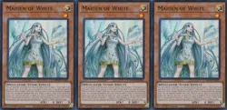 3x Maiden of White | SDWD-EN041 | UR | 1st Ed | NM | YuGiOh - Image 1