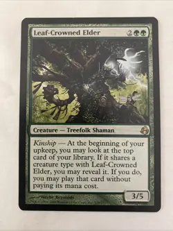 Leaf-Crowned Elder Morningtide Regular - Image 1