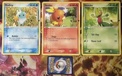 Mudkip 59/109 Torchic 74/109 Treecko 76/109 Promo JUMBO Pokemon Card - Image 1