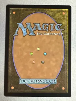 MTG / Delina, Wild Mage / AFR / #317 / Regular (Showcase) / Rare / NM - Image 2