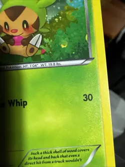 Pokemon Chespin (Collector Chest) XY88 XY Holo MP - Image 3