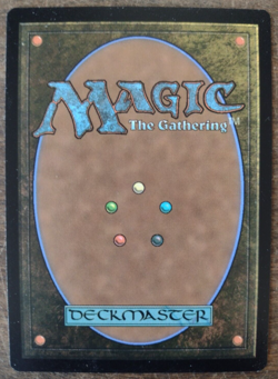 MTG ~ Snow-Covered Wastes (0309) ~ Modern Horizons 3 ~ Regular English Basic ~NM - Image 2