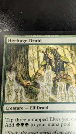 Heritage Druid X2 Magic Card, Morningtide Regular - Image 3