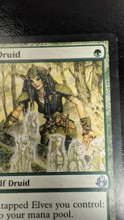 Heritage Druid X2 Magic Card, Morningtide Regular - Image 4