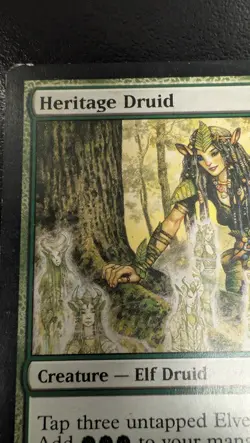 Heritage Druid X2 Magic Card, Morningtide Regular - Image 5