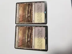 Marsh Flats Mtg 2017 Modern Masters x2 Magic the Gathering - Image 5