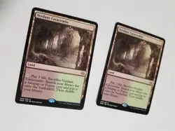 Verdant Catacombs x2 #249 Modern Masters 2017 MM3 Magic MTG - Image 2
