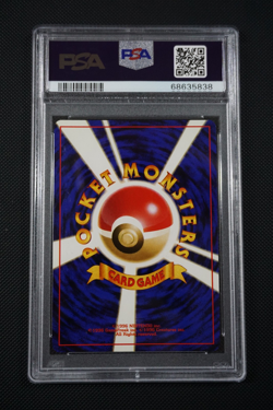 Pokemon Japanese Jungle Pidgeot Holo #18 - PSA 10 - Image 3