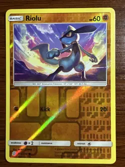 Riolu Common Reverse Holo Card 116/236 Unified Minds Pokemon TCG 2019 - Image 1