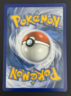 Pokemon Chilling Reign TCG Flannery Trainer 215/198 - Image 2