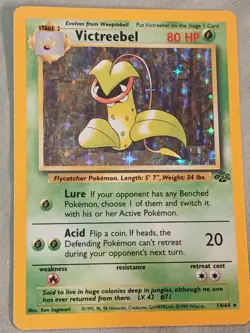 Lot of vintage Pokemon cards, Holographic, Base 2, Fossil sets, First Edition - Image 4