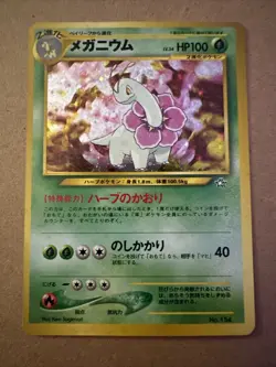 Japanese Pokemon Card Trio - Feraligatr, Typhlosion, Meganium - Holo Rare Lot - Image 4
