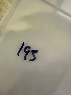 Magic The Gathering: Beta Wanderlust MTG Beta - Image 3