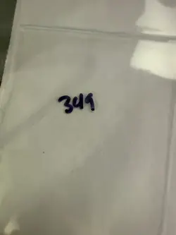 Magic the Gathering: Beta Siren's Call MTG Beta - Image 3