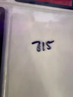 Magic the Gathering: Beta Stone Giant MTG Beta - Image 3