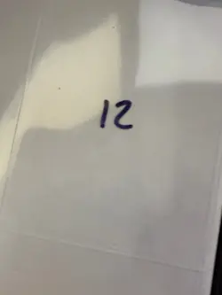 Magic The Gathering: Beta Holy Strength MTG Beta - Image 3