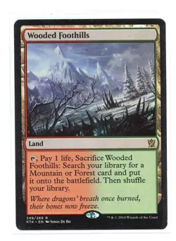 MTG Khans of Tarkir - 1x Wooded Foothills - HP - Image 1